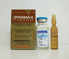 OFRAMAX 1 GM I.M VIAL- أوفراماكس 1 جم فيال عضلي